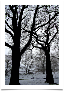 2 - Winter - Chris Beesley